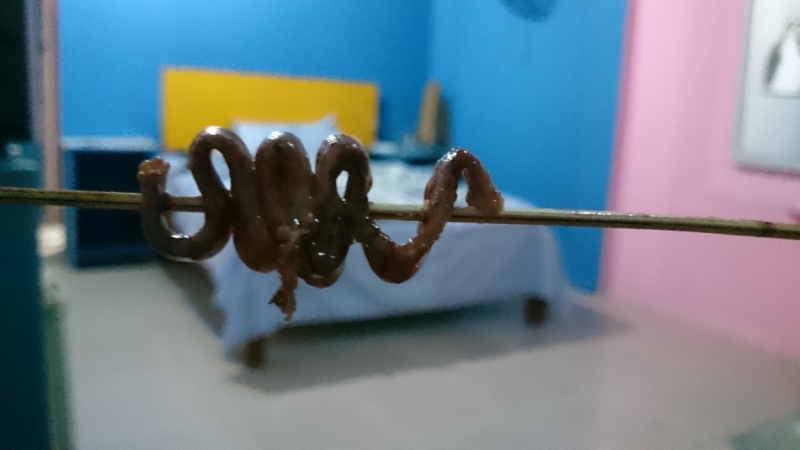 Филиппинский квест