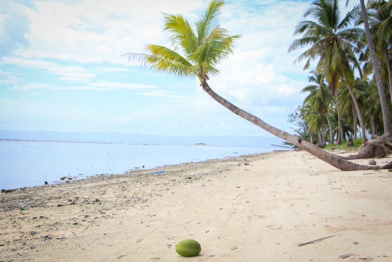 Филиппинский квест