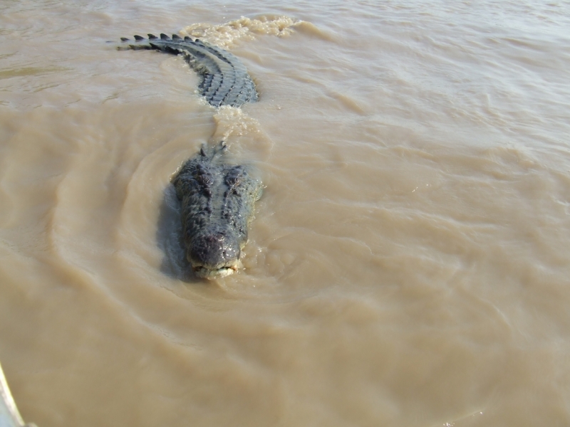 Маршрут по Австралии. Февраль-2017. Нужны советы по маршруту
