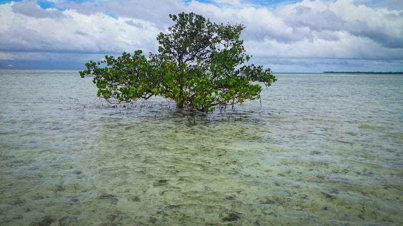 Филиппинский квест