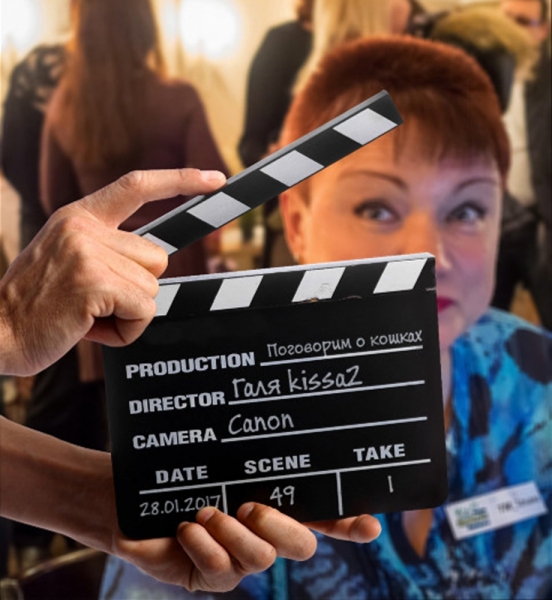 Поговорим о кошках 42