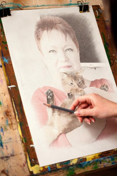 Поговорим о кошках 42