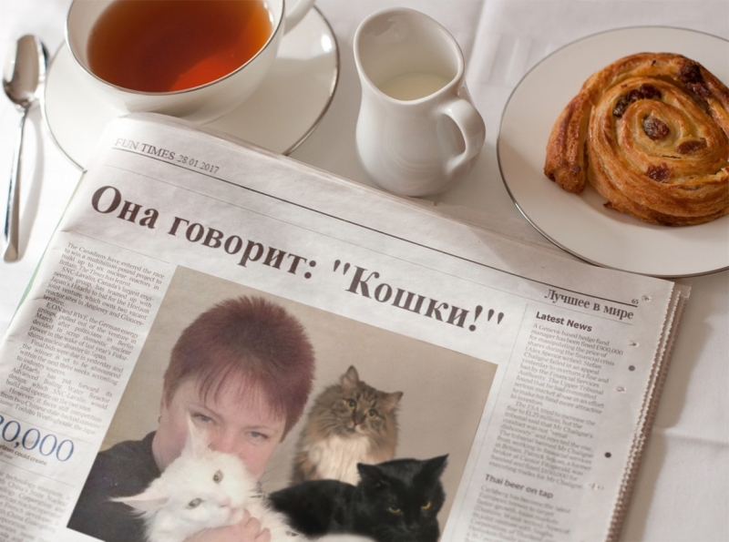 Поговорим о кошках 42