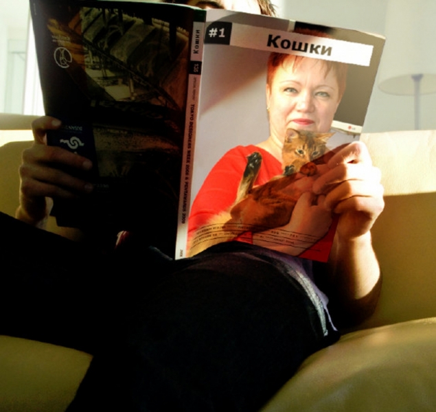 Поговорим о кошках 42