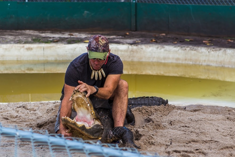 Новогодние Карибы 2017, или, два кольца, три бойца, а посередине - HAL Nieuw Amsterdam