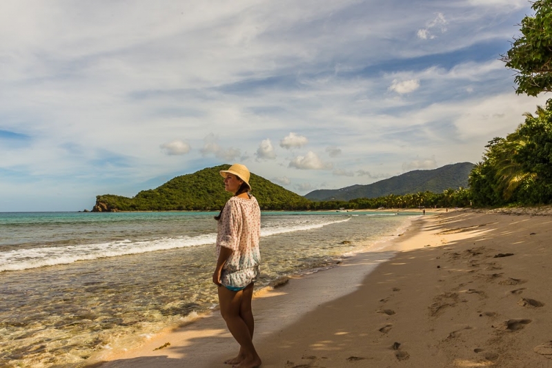 Новогодние Карибы 2017, или, два кольца, три бойца, а посередине - HAL Nieuw Amsterdam