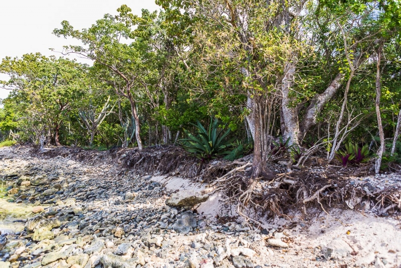 Новогодние Карибы 2017, или, два кольца, три бойца, а посередине - HAL Nieuw Amsterdam
