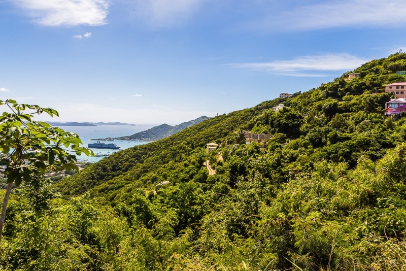 Новогодние Карибы 2017, или, два кольца, три бойца, а посередине - HAL Nieuw Amsterdam