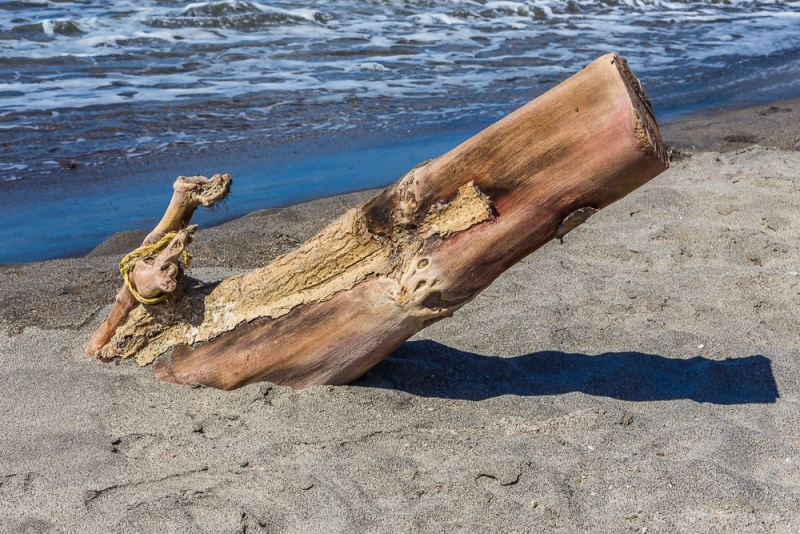 Новогодние Карибы 2017, или, два кольца, три бойца, а посередине - HAL Nieuw Amsterdam