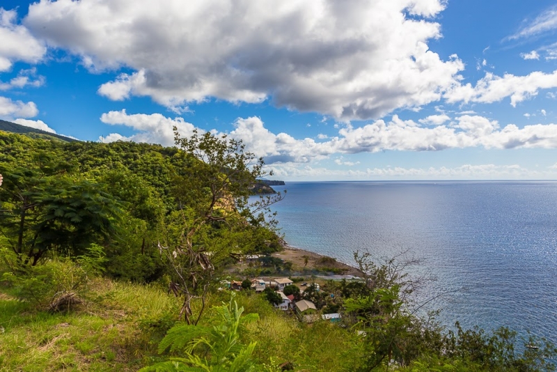 Новогодние Карибы 2017, или, два кольца, три бойца, а посередине - HAL Nieuw Amsterdam