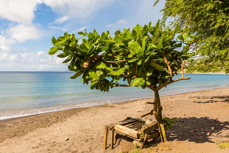 Новогодние Карибы 2017, или, два кольца, три бойца, а посередине - HAL Nieuw Amsterdam