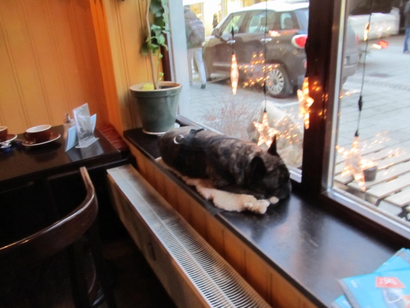 Зимний Альгой и окрестности (Мемминген, Ульм, Диллинген), без машины. Декабрь 2016.