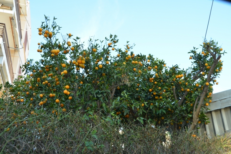 Афины третий раз, плюс окрестности. Немного Метеор.