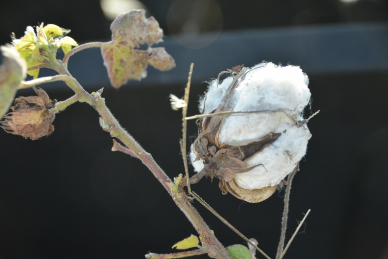 Афины третий раз, плюс окрестности. Немного Метеор.