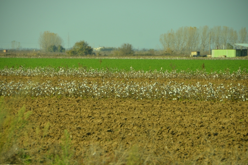 Афины третий раз, плюс окрестности. Немного Метеор.