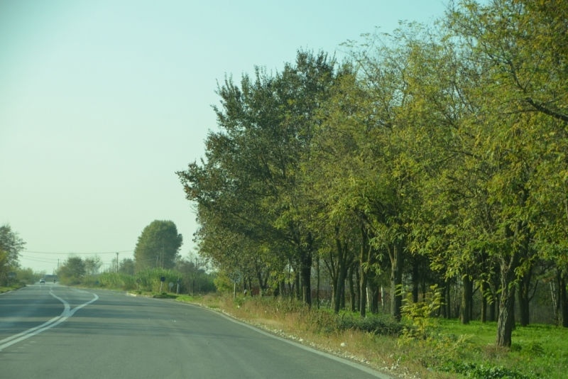 Афины третий раз, плюс окрестности. Немного Метеор.