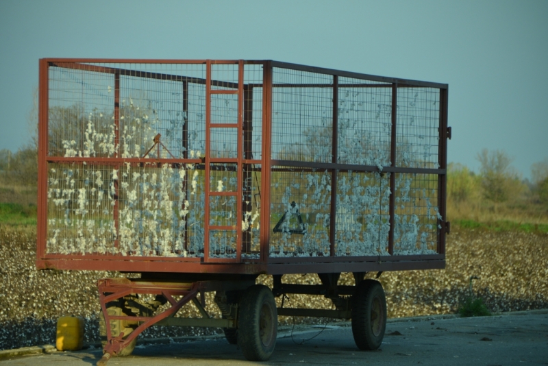 Афины третий раз, плюс окрестности. Немного Метеор.