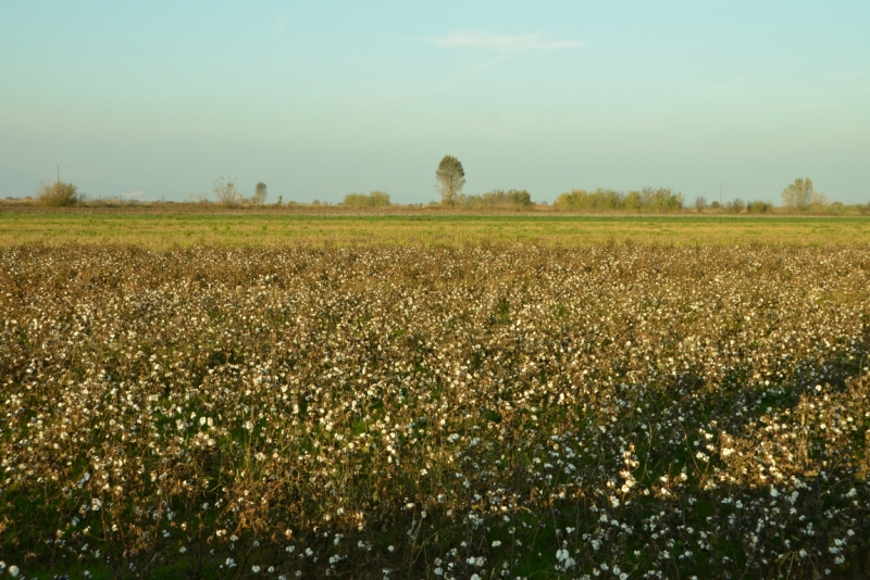 Афины третий раз, плюс окрестности. Немного Метеор.