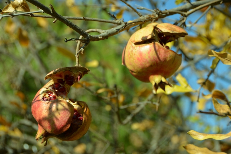 Афины третий раз, плюс окрестности. Немного Метеор.