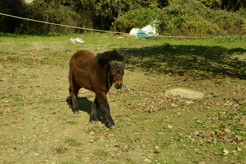Афины третий раз, плюс окрестности. Немного Метеор.