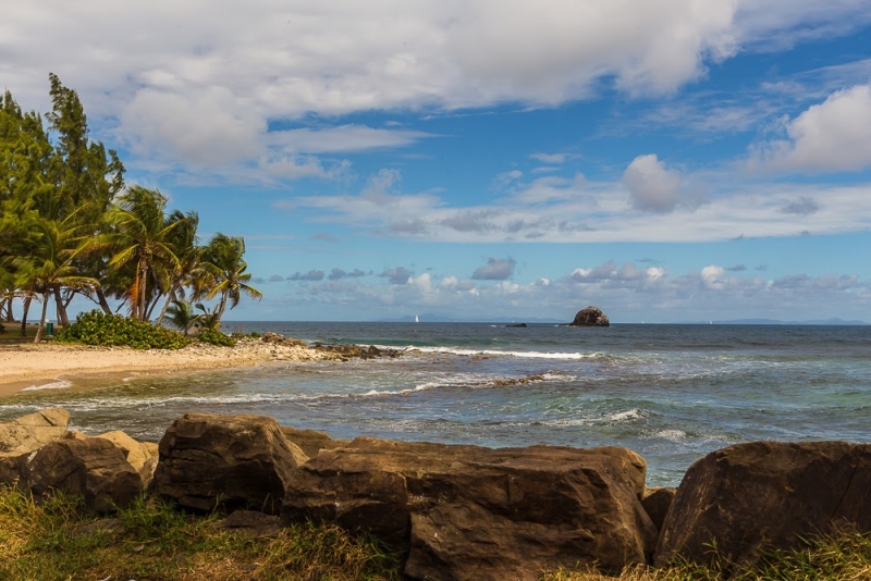 Новогодние Карибы 2017, или, два кольца, три бойца, а посередине - HAL Nieuw Amsterdam