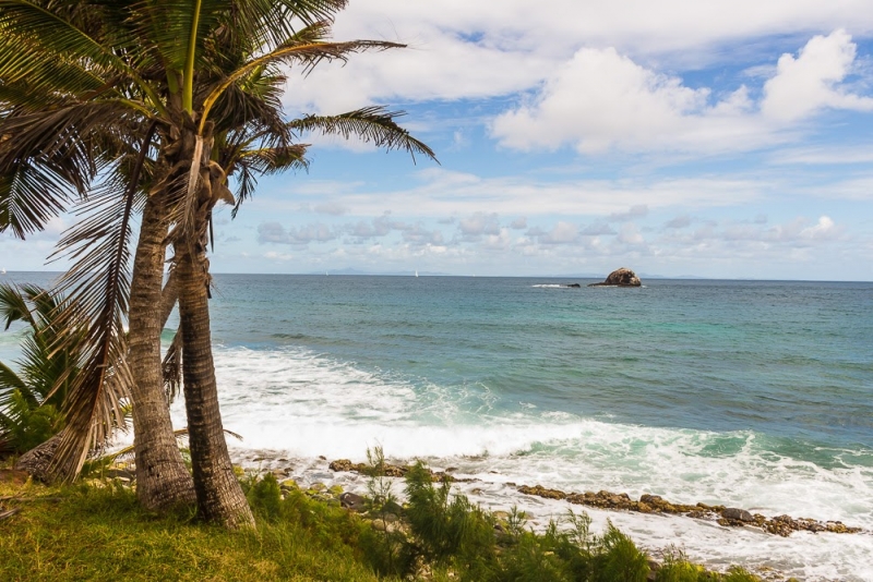 Новогодние Карибы 2017, или, два кольца, три бойца, а посередине - HAL Nieuw Amsterdam