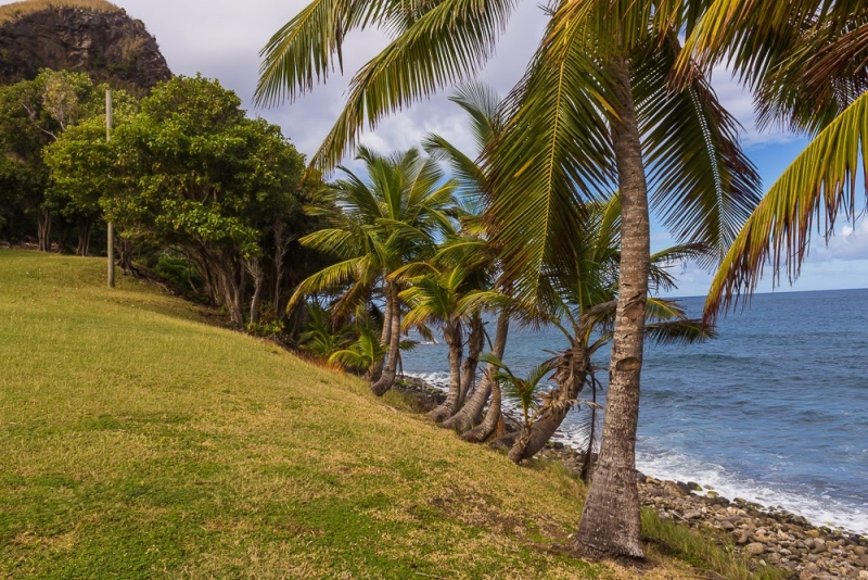 Новогодние Карибы 2017, или, два кольца, три бойца, а посередине - HAL Nieuw Amsterdam