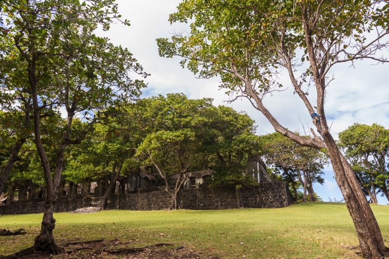 Новогодние Карибы 2017, или, два кольца, три бойца, а посередине - HAL Nieuw Amsterdam