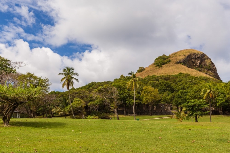 Новогодние Карибы 2017, или, два кольца, три бойца, а посередине - HAL Nieuw Amsterdam