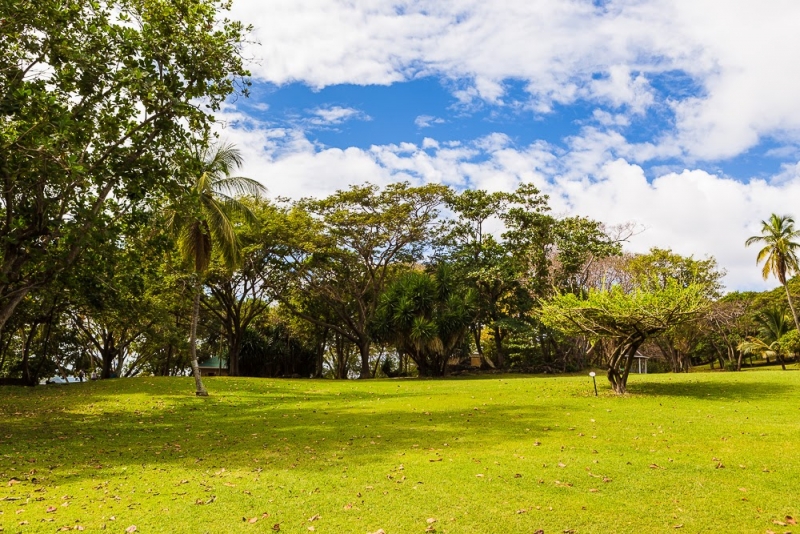 Новогодние Карибы 2017, или, два кольца, три бойца, а посередине - HAL Nieuw Amsterdam