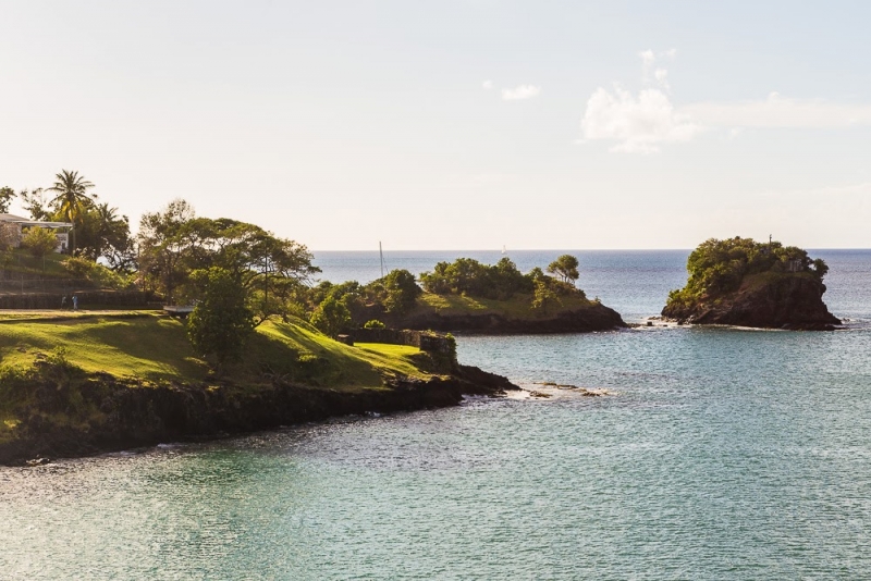 Новогодние Карибы 2017, или, два кольца, три бойца, а посередине - HAL Nieuw Amsterdam