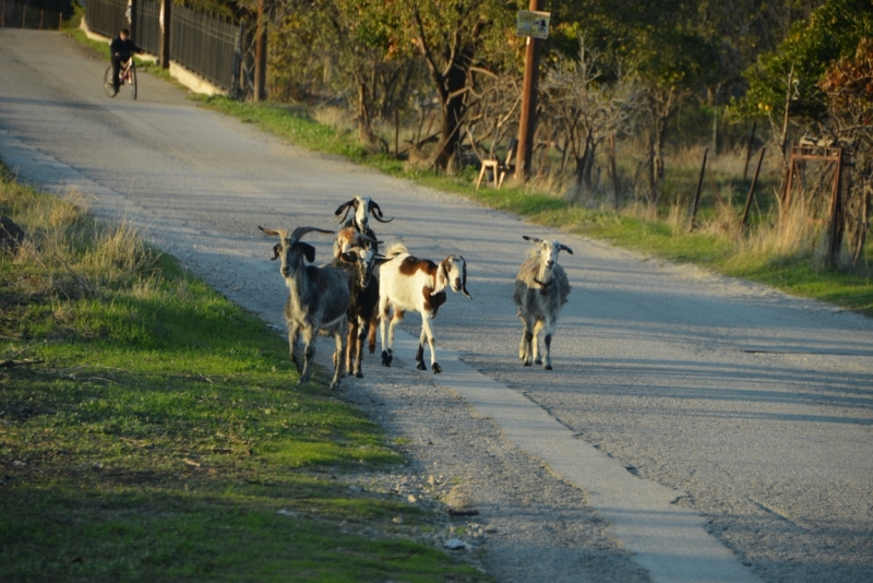 Афины третий раз, плюс окрестности. Немного Метеор.