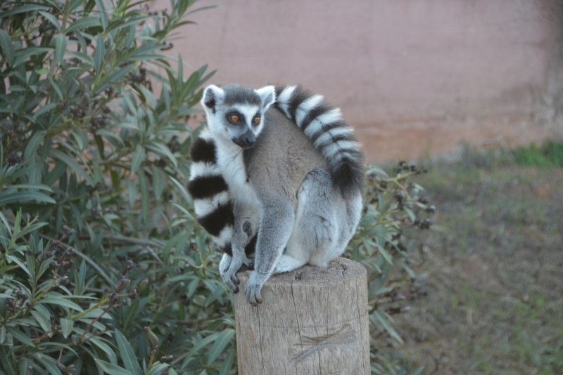 Афины третий раз, плюс окрестности. Немного Метеор.