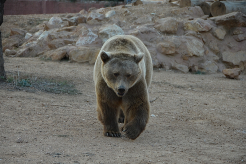Афины третий раз, плюс окрестности. Немного Метеор.