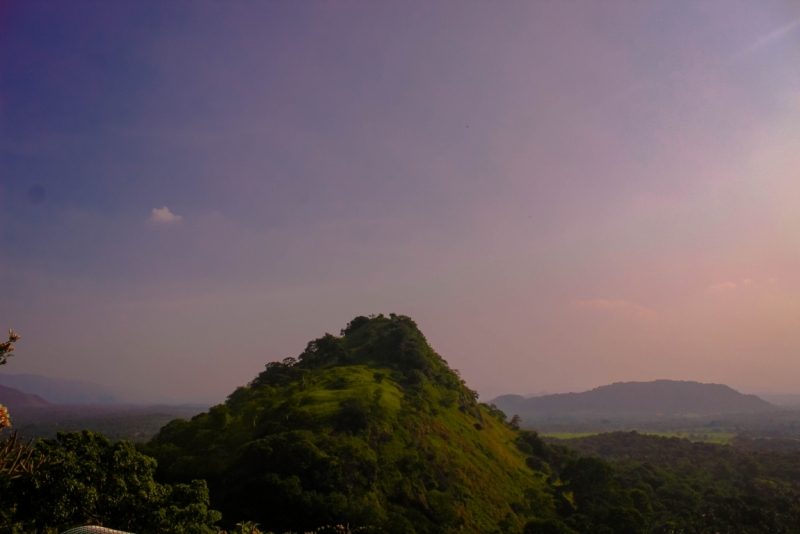 Серфинг. Январь-Февраль 2016