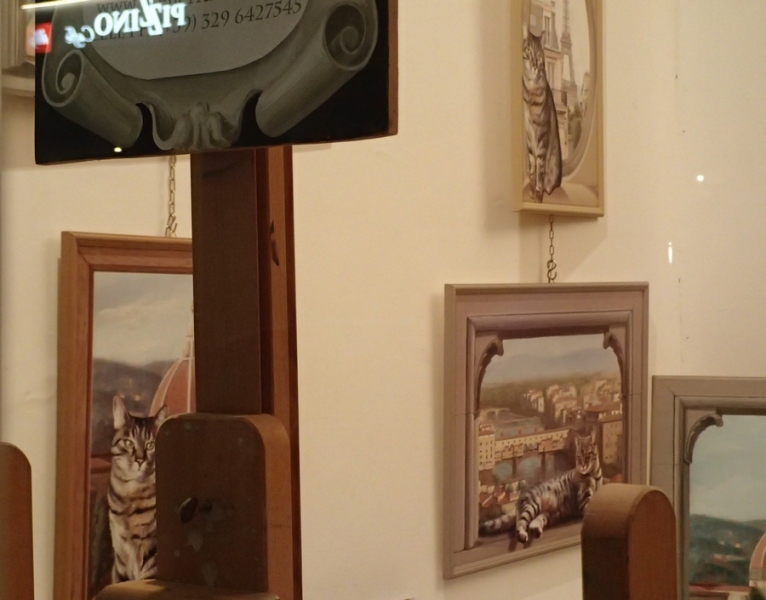 Поговорим о кошках 42