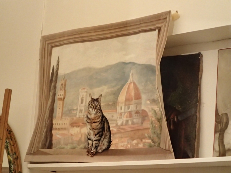 Поговорим о кошках 42