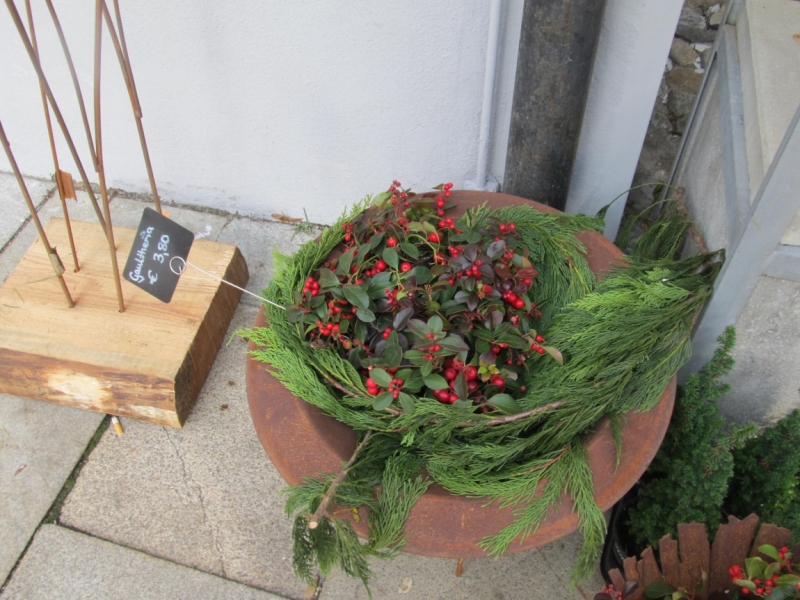 Зимний Альгой и окрестности (Мемминген, Ульм, Диллинген), без машины. Декабрь 2016.