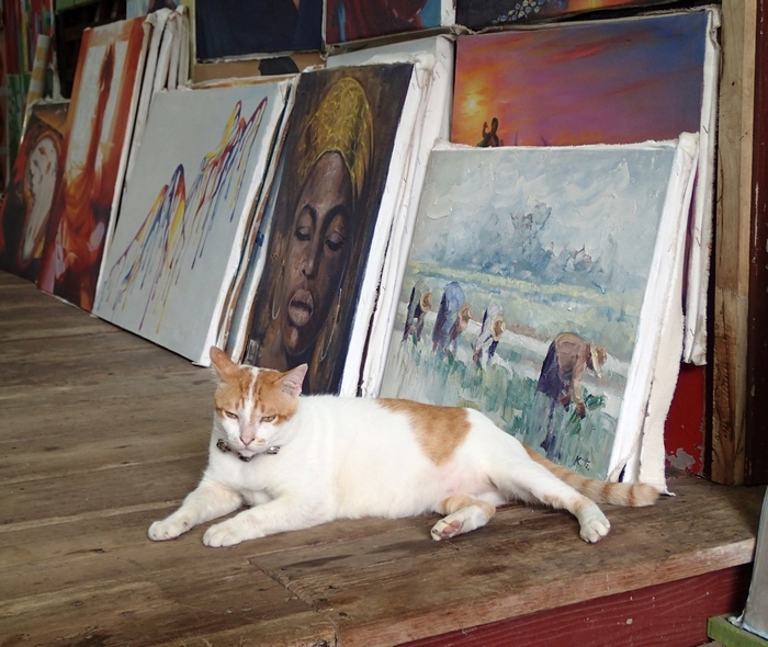 Поговорим о кошках 42