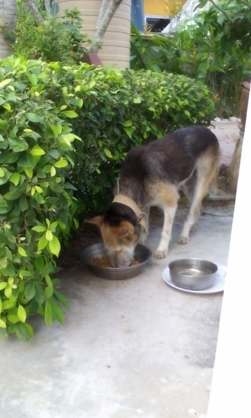 Ban Krut действительно  - КРУТ..  заметки ( сентябрь 2010)