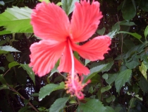 отчёт о полуторамесячном путешествии по Таиланду