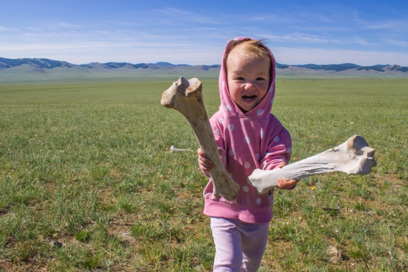 MongoliaFamilyTrip -- наше путешествие в пустыню Гоби с маленькой дочкой