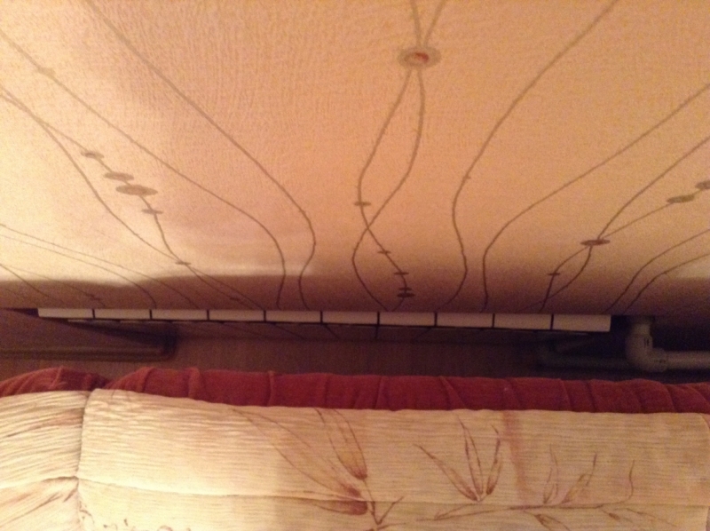 Поговорим о кошках 42