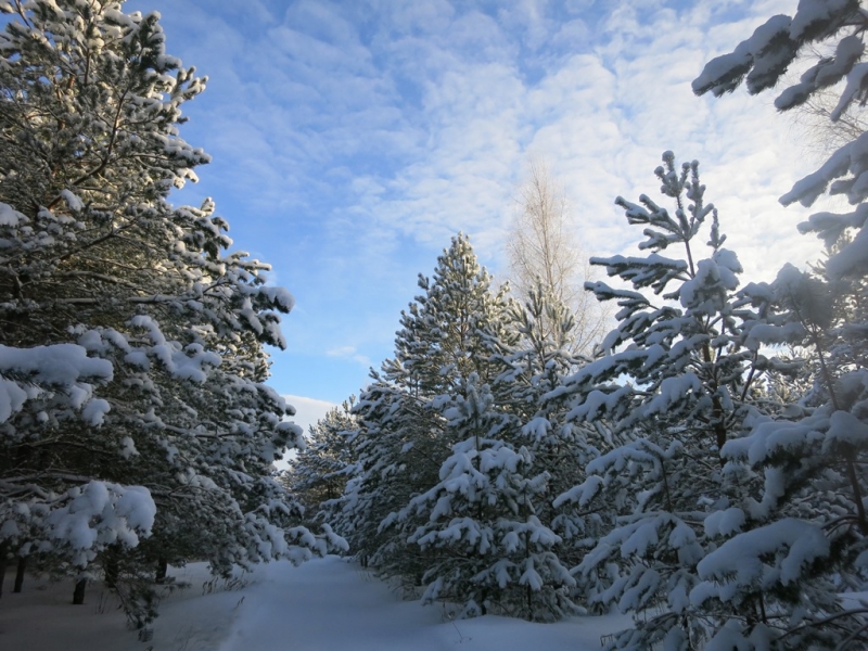 Весьегонск зимой. Город, куда хочется вернуться