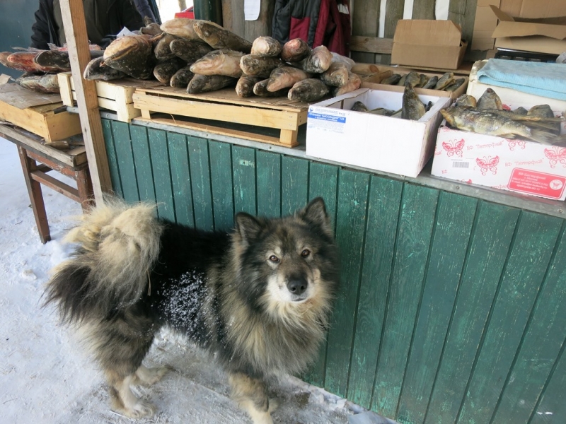 Весьегонск зимой. Город, куда хочется вернуться