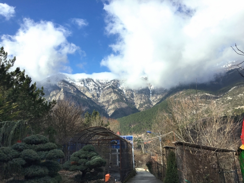 Ялта_Февраль 2017