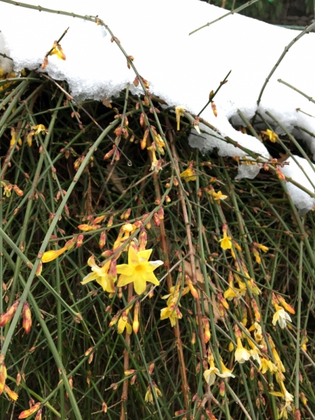 Ялта_Февраль 2017