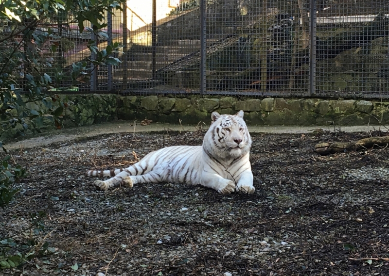 Ялта_Февраль 2017
