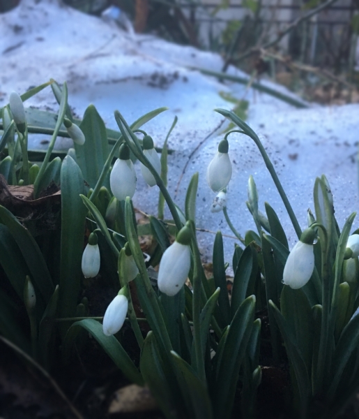 Ялта_Февраль 2017