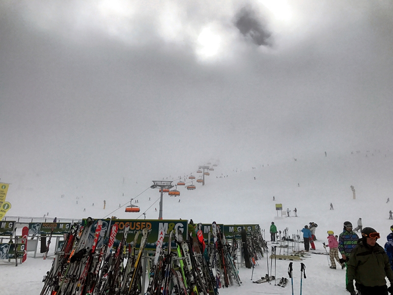 Гигийох в молоке